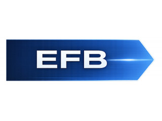 EFB (старт-стоп, гибридные авто)